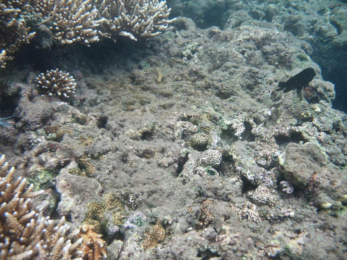 Giman Free Beach Resort Passikudah Bagian luar foto