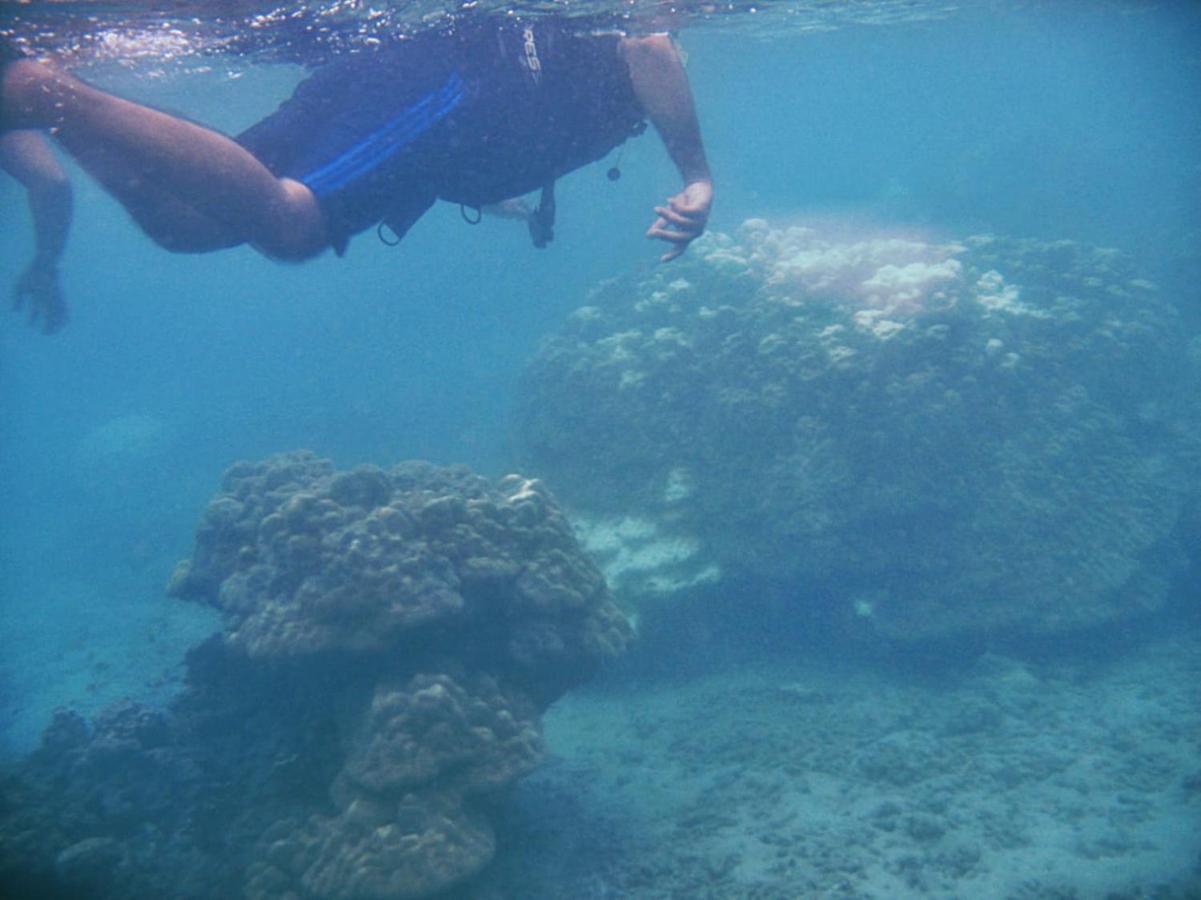 Giman Free Beach Resort Passikudah Bagian luar foto