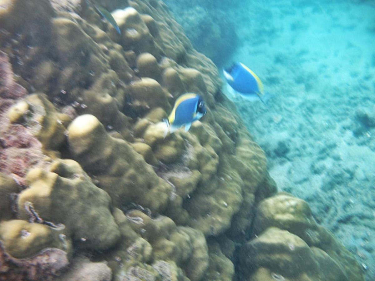 Giman Free Beach Resort Passikudah Bagian luar foto